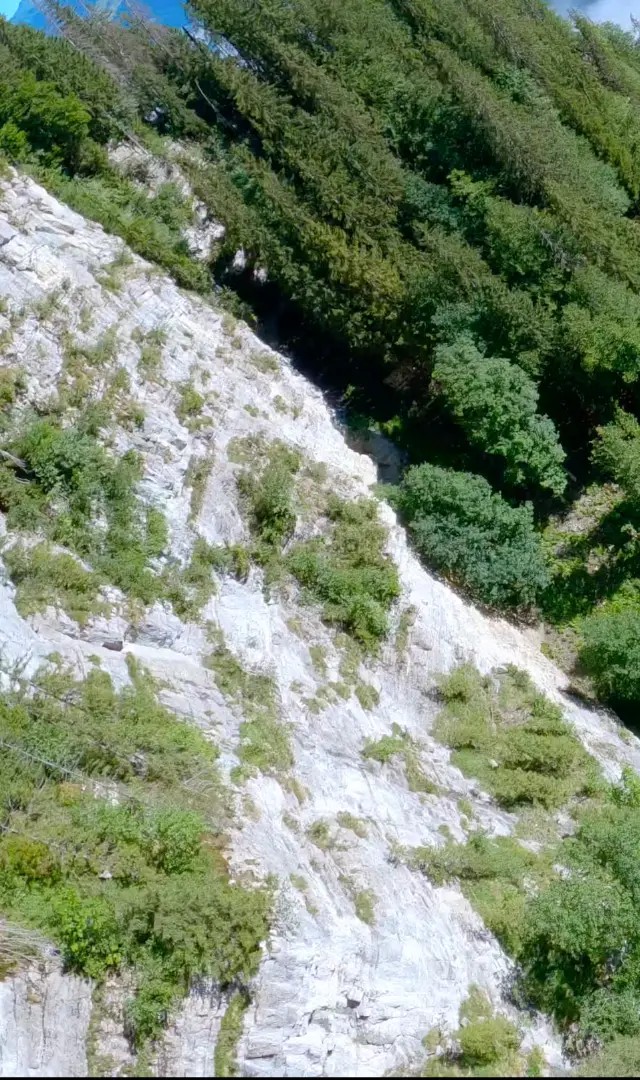 Sunlit granite cliff face and dense green mountainside forest, left portion of a wingsuit flight photograph
