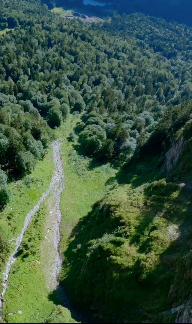 A forested mountain valley with a stream running through it, right portion of a wingsuit flight photograph