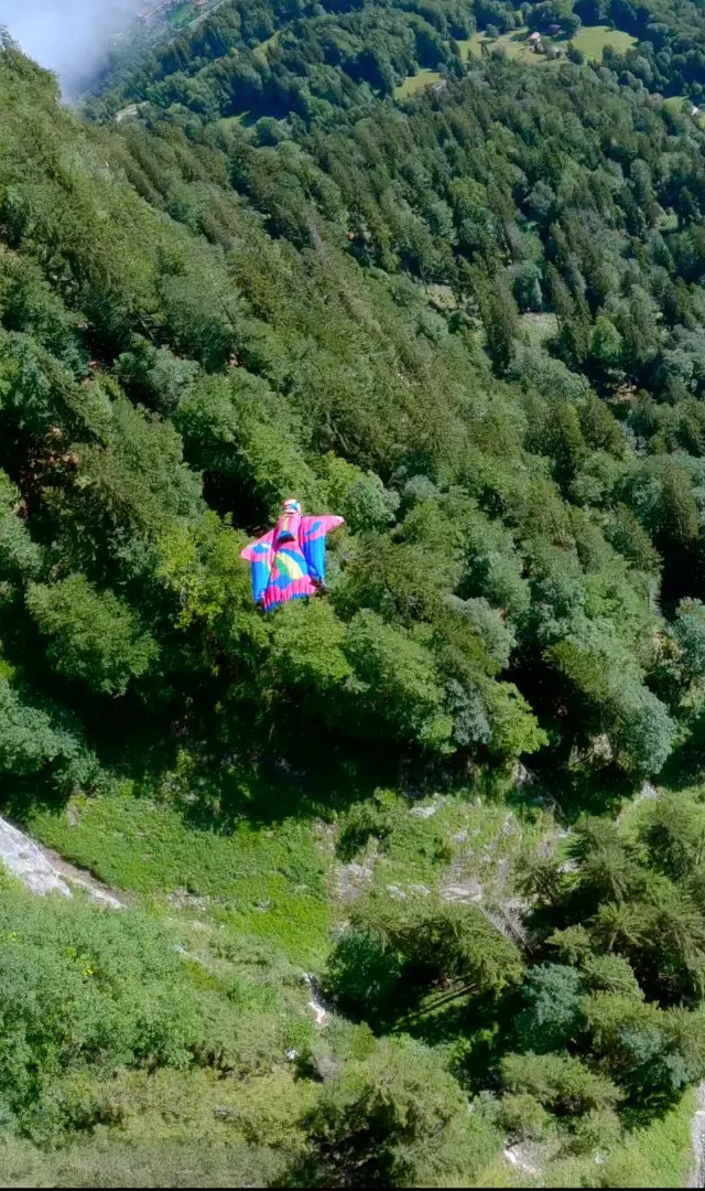 A wingsuit flyer gliding over dense green forested mountains, center portion of a wingsuit flight photograph